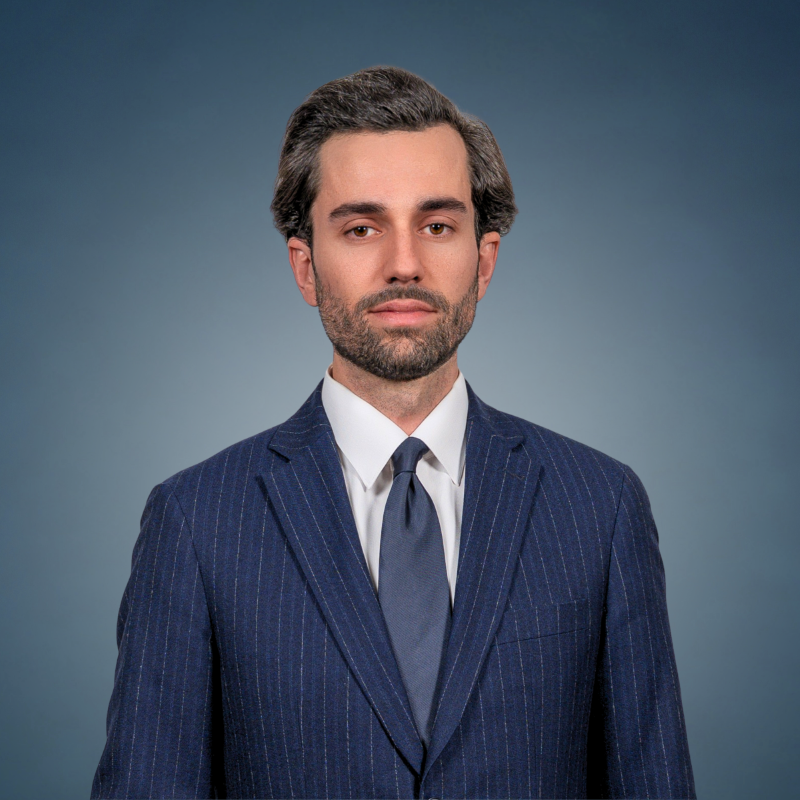 Ludovic-Pallas Ludovic Pallas